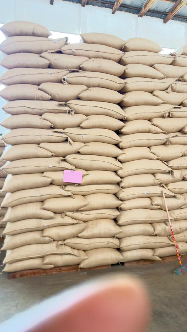 Coffee sacks prepared for storage and distribution